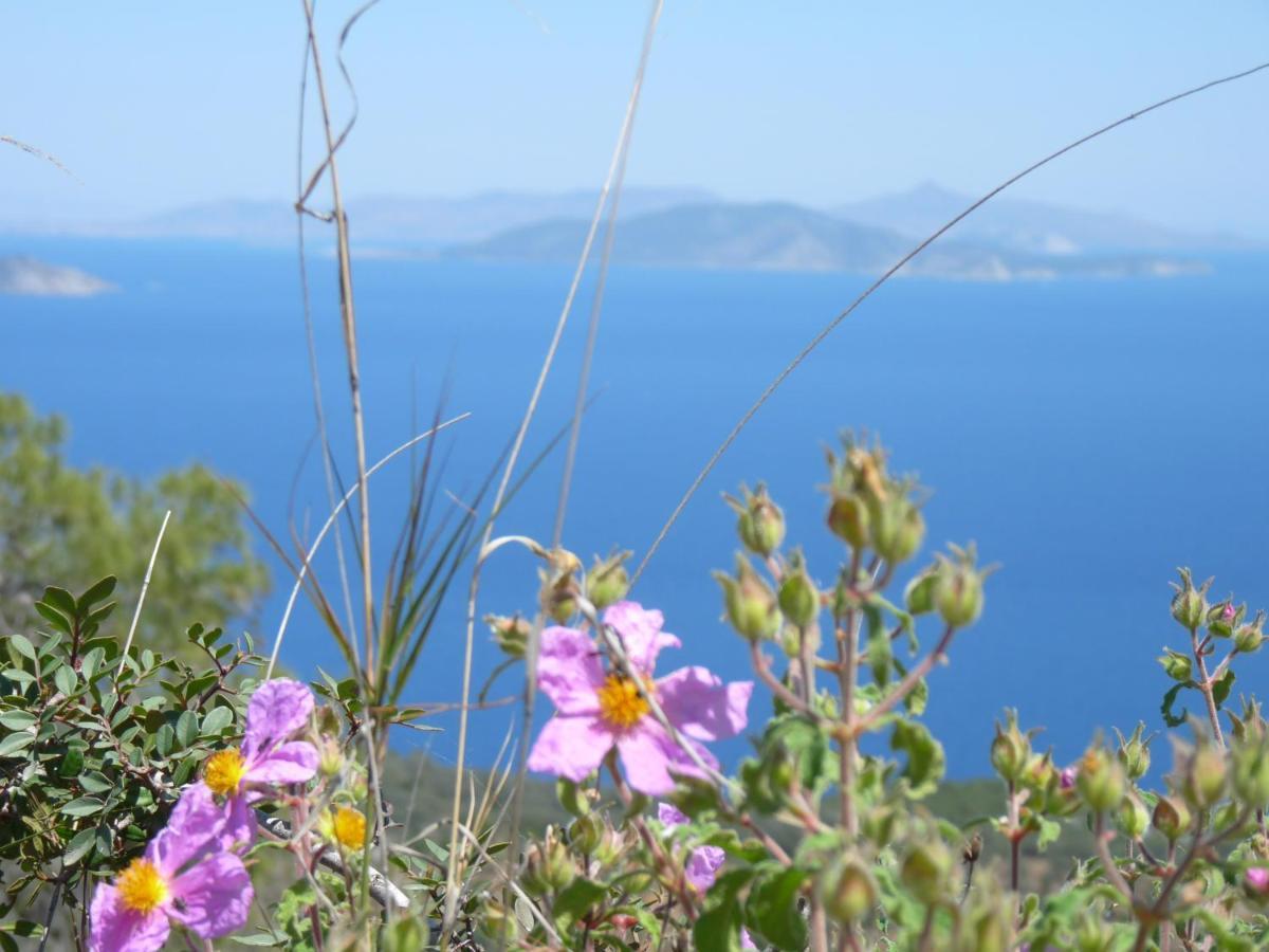 Saronis Epidaurus