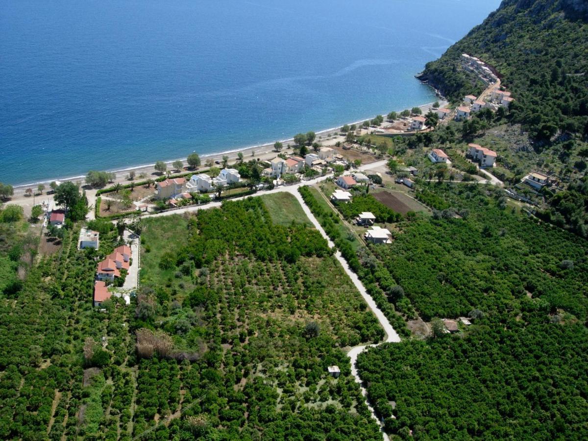 Saronis